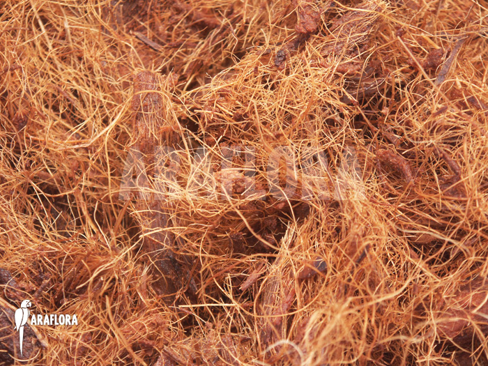 Cocos fibrous