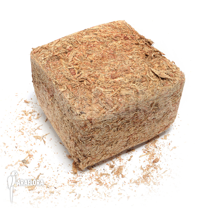 Dried Sphagnum fine ‘5kg’