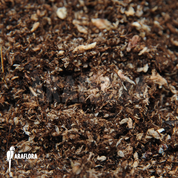 Peat and Sphagnum potting mix