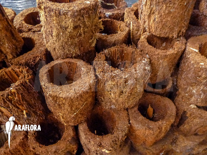 Tree fern pot xaxim ‘S’