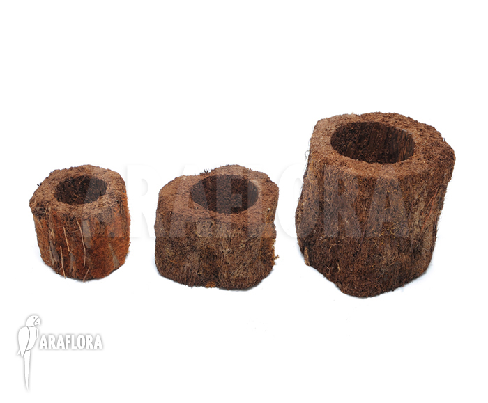 Tree fern pots xaxim