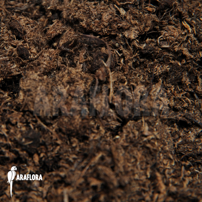 Peat-media-fine-(potting-media)-1